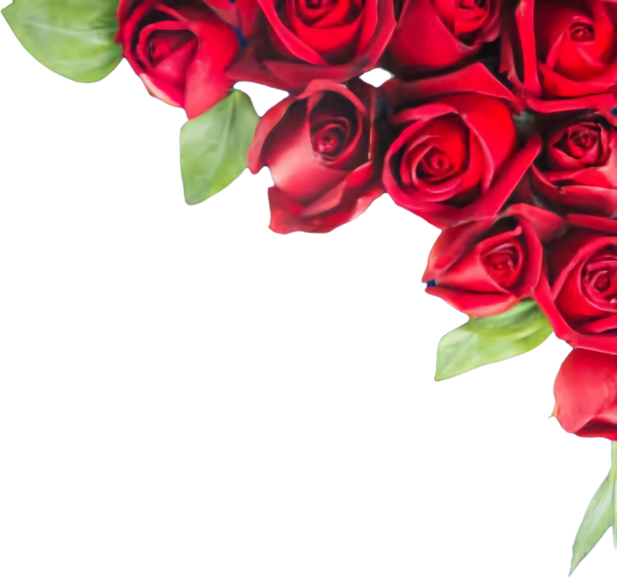 roses